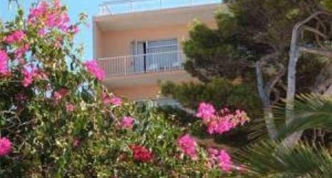 其他 2 Visit Hotel Alexandra