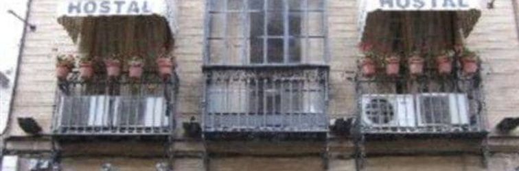 Others Vincent Van Gogh