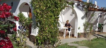 Others 6 Bungalows Kiwi