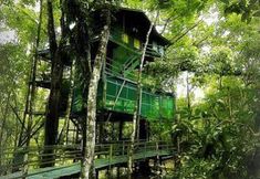 其他 4 Ariau Amazon Towers