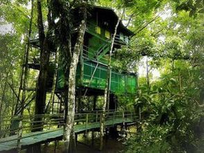 其他 4 Ariau Amazon Towers