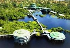 其他 7 Ariau Amazon Towers