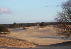 기타 4 Fletcher Hotel De Zon