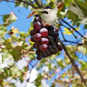 Paris 1, Hotel Balearic Islands
