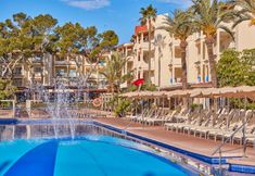 기타 4 Zafiro Bahia