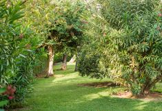 Others 4 Globales Maioris