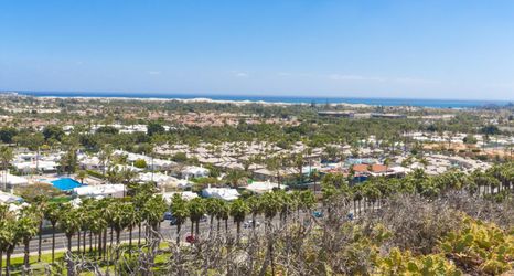 기타 2 Vista Oasis