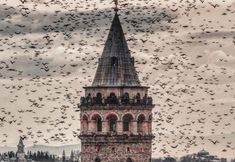 Lainnya 3 Amiral Palace Hotel