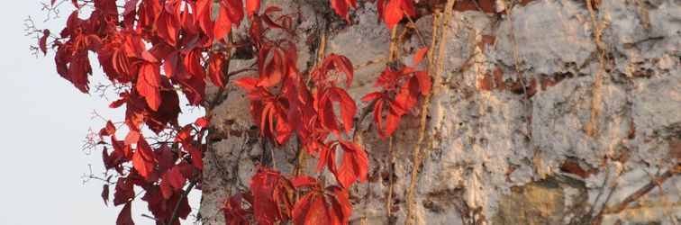 その他 Megara Palace - Old City