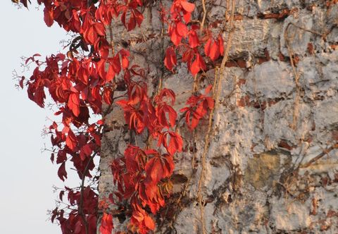 その他 Megara Palace - Old City