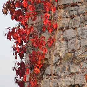 Megara Palace - Khu Phố Cổ 1, Khách sạn Sirkeci Gar Pharmacy