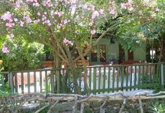 其他 2 Adrasan Gelidonya Hotel