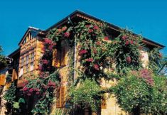 Others 2 Begonville Pansiyon