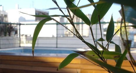 Others 2 Piccaluga Apartments