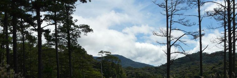 Others Muong Thanh Da Lat