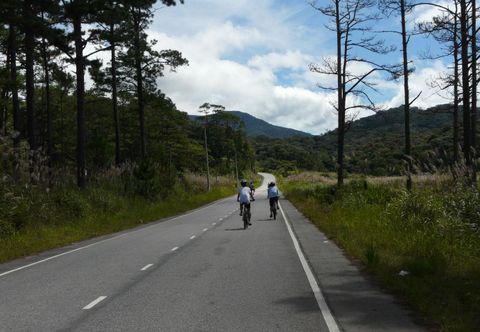 Others Muong Thanh Da Lat
