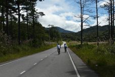 Others Muong Thanh Da Lat