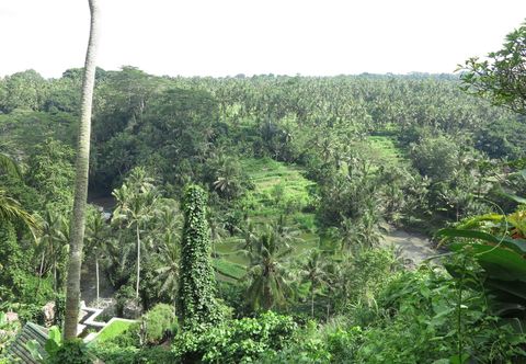 기타 Taman Bebek Resort & Spa