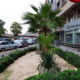 Tempo Residence Comfort1 , 飯店爱琴海大学