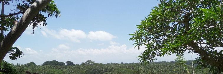 Others Sayan Terrace Resort