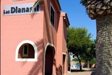 อื่นๆ Las Dianas Ii