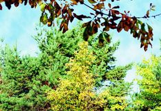 其他 5 Travel Charme Strandhotel