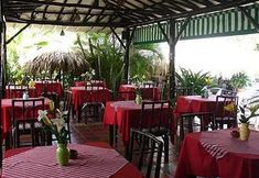 Lainnya 4 Coral Caribe