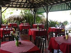 Lainnya 4 Coral Caribe