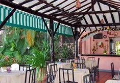 Lainnya 5 Coral Caribe