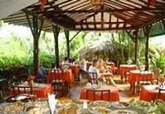 Lainnya 6 Coral Caribe