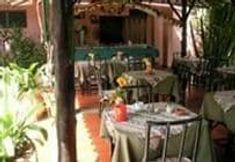 Lainnya 7 Coral Caribe