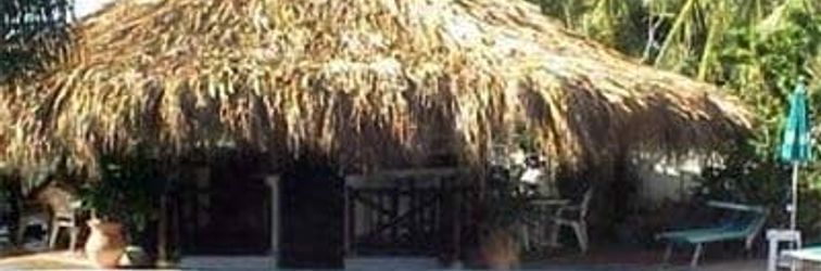 Lainnya Coral Caribe