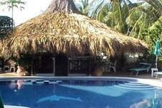 Lainnya Coral Caribe