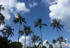 周邊景點與觀光 2 Tropical Garden Lounge Hotel & Resort