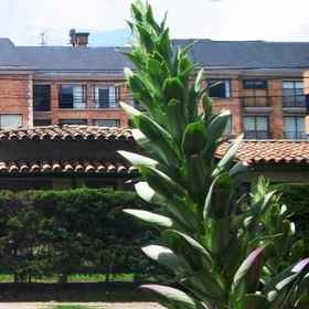 B&B Casa Zuetana 93 1, Hotel Bogotá