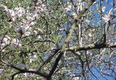 Khác 2 Agroturismo Son Olive