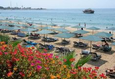 Others 5 Hotel Antik Garden