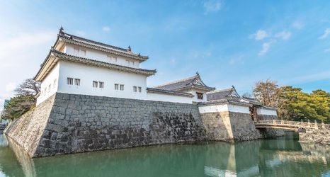 Others 2 Chimelong Panda Hotel