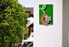 기타 4 Club Cherry