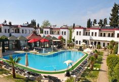 기타 6 Club Cherry