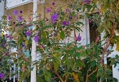 Others 7 Peace & Plenty Inn