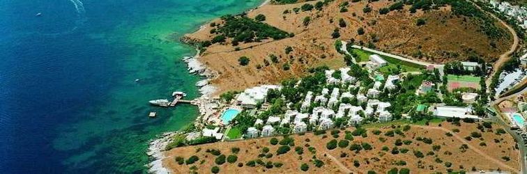 기타 Justiniano Fuga Fine Times