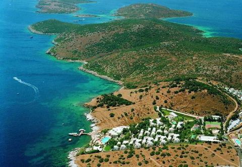 기타 Justiniano Fuga Fine Times