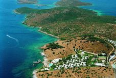 기타 Justiniano Fuga Fine Times