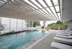 기타 7 Justiniano Fuga Fine Times