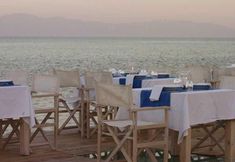 기타 5 Justiniano Fuga Fine Times