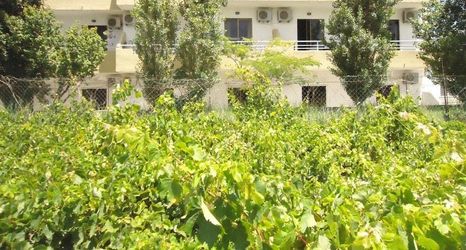 Others 2 Hermes Studios