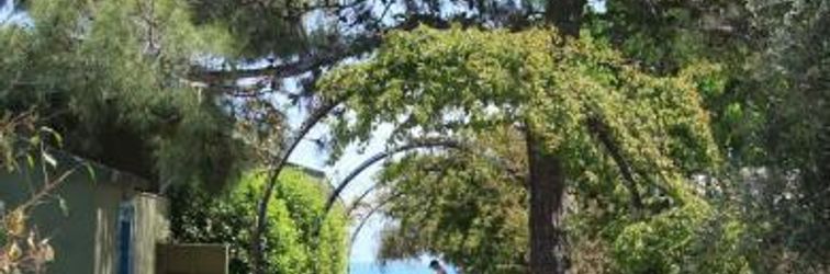 기타 Ring Beach Hotel