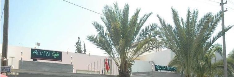 其他 Alvin Hotel