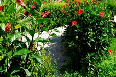 外觀 Anita Everytime Hotel